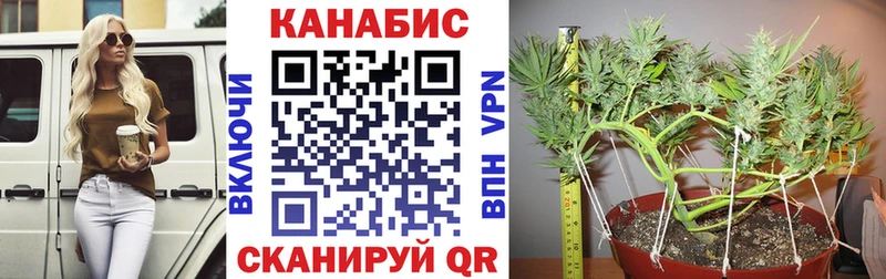 Купить закладку Cocaine  МЕТАДОН  Альфа ПВП  Гашиш  Мефедрон  Марихуана  Ижевск