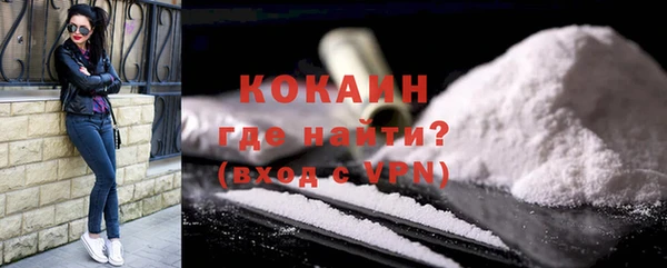 дурь Ельня