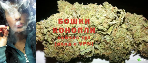 стафф Елизово