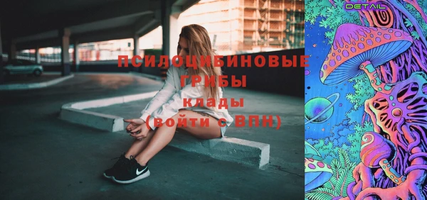 стафф Елизово
