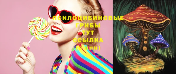 стафф Елизово