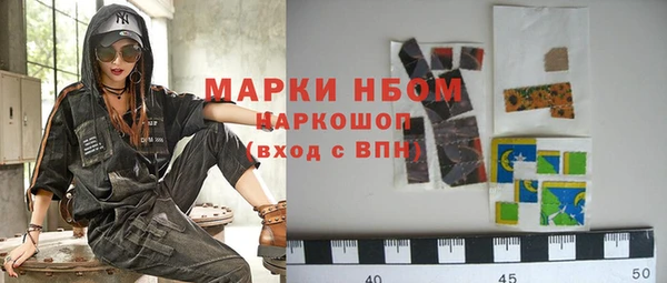 дурь Ельня