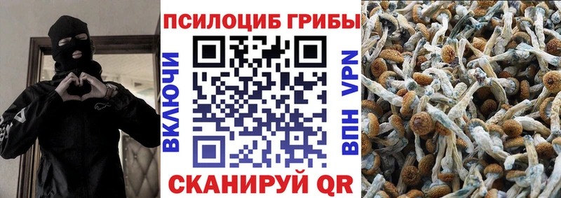 Купить где  Ижевск  Псилоцибиновые грибы MAGIC MUSHROOMS 